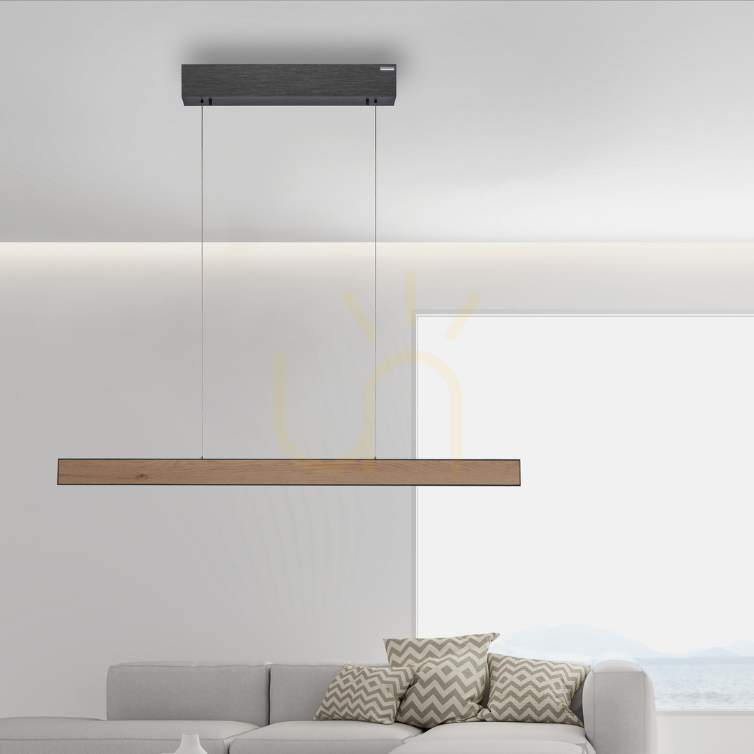 Náhled PURE E-MOTION 2570-79 Černé závěsné svítidlo s 2 LED diodami PURE E-MOTION 2570-79 Černé závěsné svítidlo s 2 LED diodami