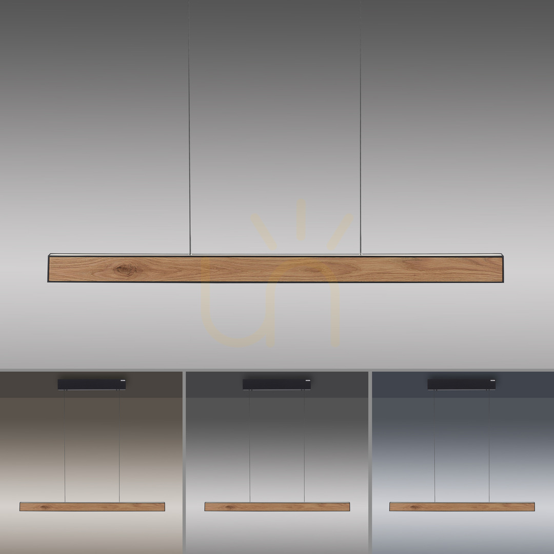 Kontrola PURE E-MOTION 2570-79 Černé závěsné svítidlo s 2 LED diodami PURE E-MOTION 2570-79 Černé závěsné svítidlo s 2 LED diodami