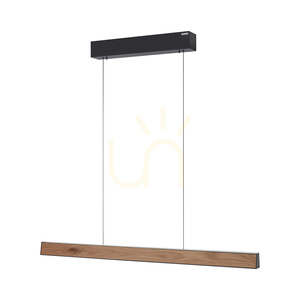 PURE E-MOTION 2570-79 Černé závěsné svítidlo s 2 LED diodami 7 PURE E-MOTION 2570-79 Černé závěsné svítidlo s 2 LED diodami small 7