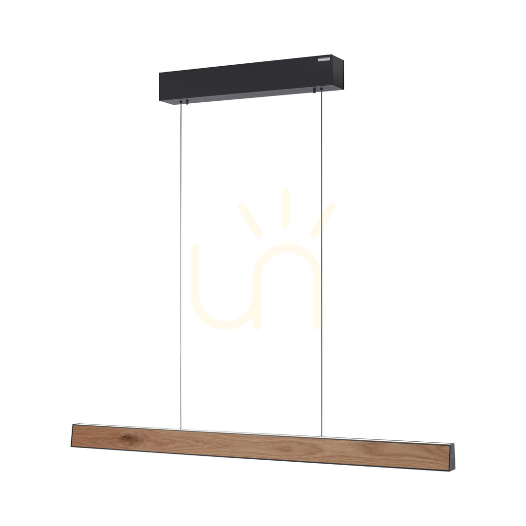 Náhled PURE E-MOTION 2570-79 Černé závěsné svítidlo s 2 LED diodami PURE E-MOTION 2570-79 Černé závěsné svítidlo s 2 LED diodami