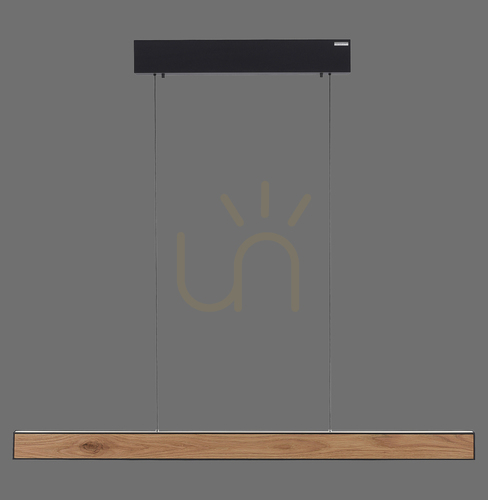 Kontrola PURE E-MOTION 2570-79 Černé závěsné svítidlo s 2 LED diodami