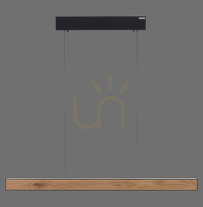 PURE E-MOTION 2570-79 Černé závěsné svítidlo s 2 LED diodami 0 PURE E-MOTION 2570-79 Černé závěsné svítidlo s 2 LED diodami small 0
