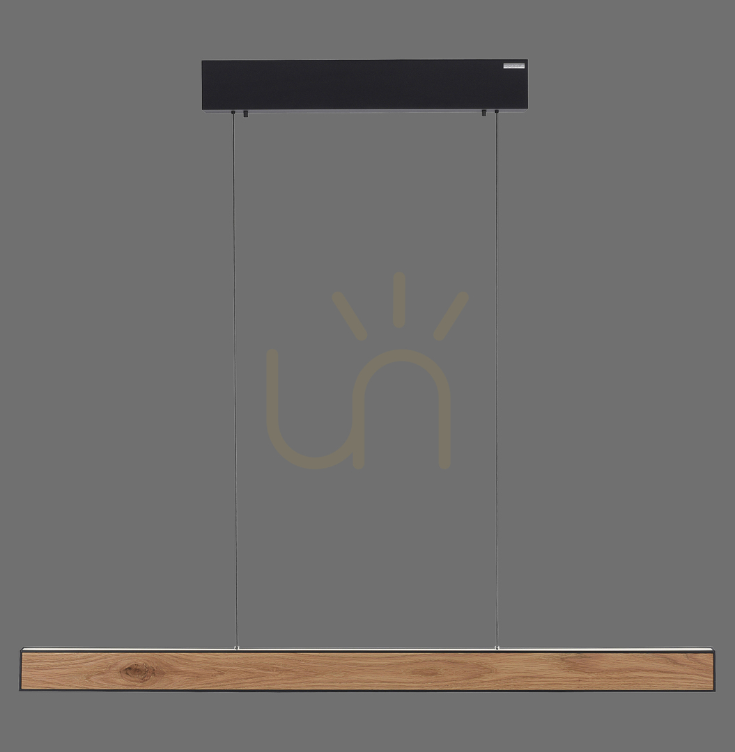 Kontrola PURE E-MOTION 2570-79 Černé závěsné svítidlo s 2 LED diodami PURE E-MOTION 2570-79 Černé závěsné svítidlo s 2 LED diodami