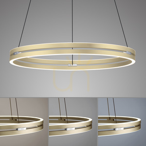 PUREE-LOOP 2551-60 Mosazné závěsné svítidlo se 2 LED diodami 5 PUREE-LOOP 2551-60 Mosazné závěsné svítidlo se 2 LED diodami small 5