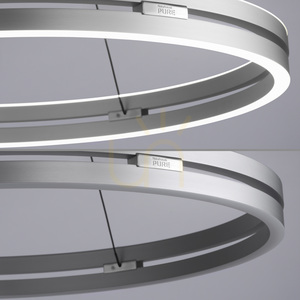 PUREE-LOOP 2551-95 Stříbrné závěsné svítidlo se 2 LED diodami small 14