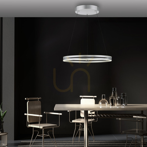 PUREE-LOOP 2551-95 Stříbrné závěsné svítidlo se 2 LED diodami small 2