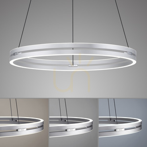 PUREE-LOOP 2551-95 Stříbrné závěsné svítidlo se 2 LED diodami small 5