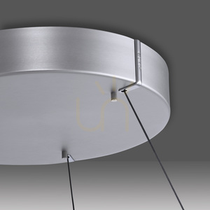 PUREE-LOOP 2551-95 Stříbrné závěsné svítidlo se 2 LED diodami small 9