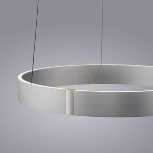 PURE E-CLIPSE 2560-95 Stříbrné závěsné svítidlo se 2 LED diodami 10 PURE E-CLIPSE 2560-95 Stříbrné závěsné svítidlo se 2 LED diodami small 10