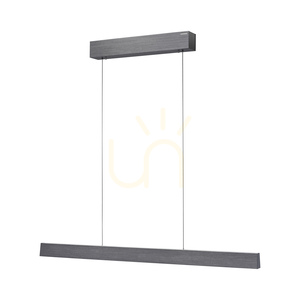 PURE E-MOTION 2570-15 Šedé závěsné svítidlo s 2 LED diodami small 7