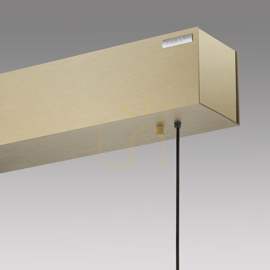 Náhled PURE E-MOTION 2570-60 Mosazné závěsné svítidlo se 2 LED diodami PURE E-MOTION 2570-60 Mosazné závěsné svítidlo se 2 LED diodami