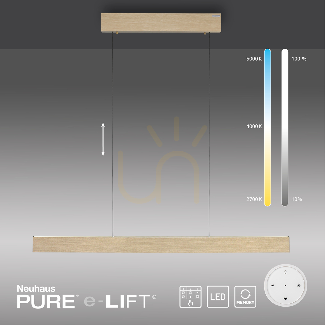 Zobrazit PURE E-MOTION 2570-60 Mosazné závěsné svítidlo se 2 LED diodami PURE E-MOTION 2570-60 Mosazné závěsné svítidlo se 2 LED diodami