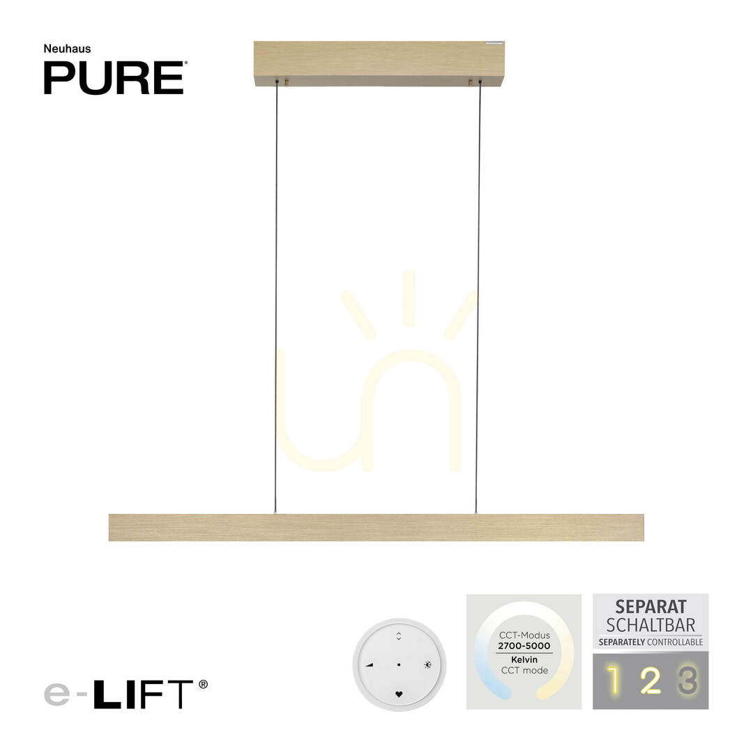 Náhled PURE E-MOTION 2570-60 Mosazné závěsné svítidlo se 2 LED diodami PURE E-MOTION 2570-60 Mosazné závěsné svítidlo se 2 LED diodami