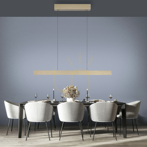 PURE E-MOTION 2570-60 Mosazné závěsné svítidlo se 2 LED diodami 3 PURE E-MOTION 2570-60 Mosazné závěsné svítidlo se 2 LED diodami small 3