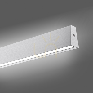 PURE E-MOTION 2570-95 Stříbrné závěsné svítidlo s 2 LED diodami small 9