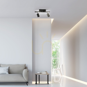 PURE-MIRA 6354-18 Černé stropní svítidlo se 2 LED diodami 2 PURE-MIRA 6354-18 Černé stropní svítidlo se 2 LED diodami small 2