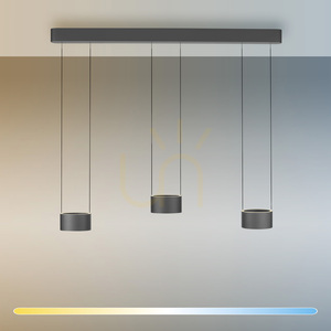 PURE CLIPSE 2473-15 Šedé závěsné svítidlo s 6 LED diodami 2 PURE CLIPSE 2473-15 Šedé závěsné svítidlo s 6 LED diodami small 2