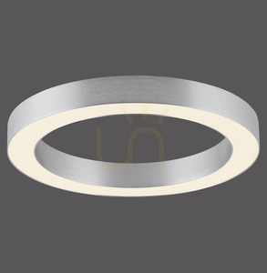 Stropní svítidlo PURE LINES ROUND 6310-95, stříbrné, 1xLED 0 Stropní svítidlo PURE LINES ROUND 6310-95, stříbrné, 1xLED small 0