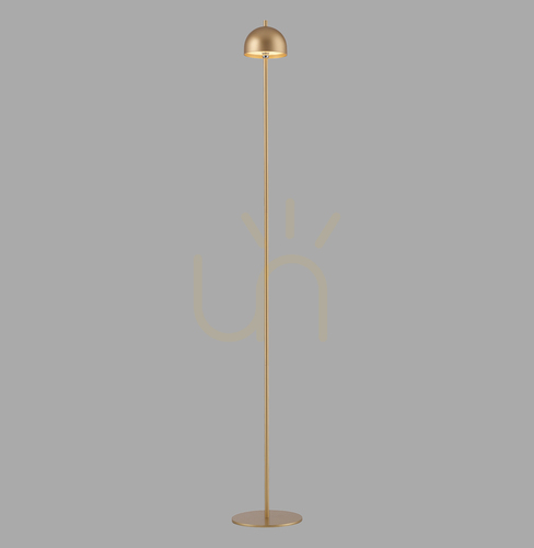 Kontrola BELLIS 19245-12 Stojací lampa, zlatá, 1xLED