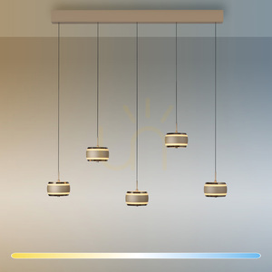 PURE FALLING RINGS 2504-97 Hnědé závěsné svítidlo s 5 LED diodami 2 PURE FALLING RINGS 2504-97 Hnědé závěsné svítidlo s 5 LED diodami small 2