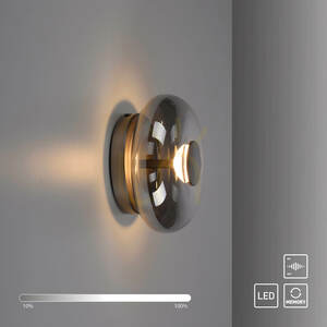 LED nástěnné a stropní svítidlo Schöner Wohnen POSH 15696-15, šedé, kouřové sklo, Ø22 cm small 1