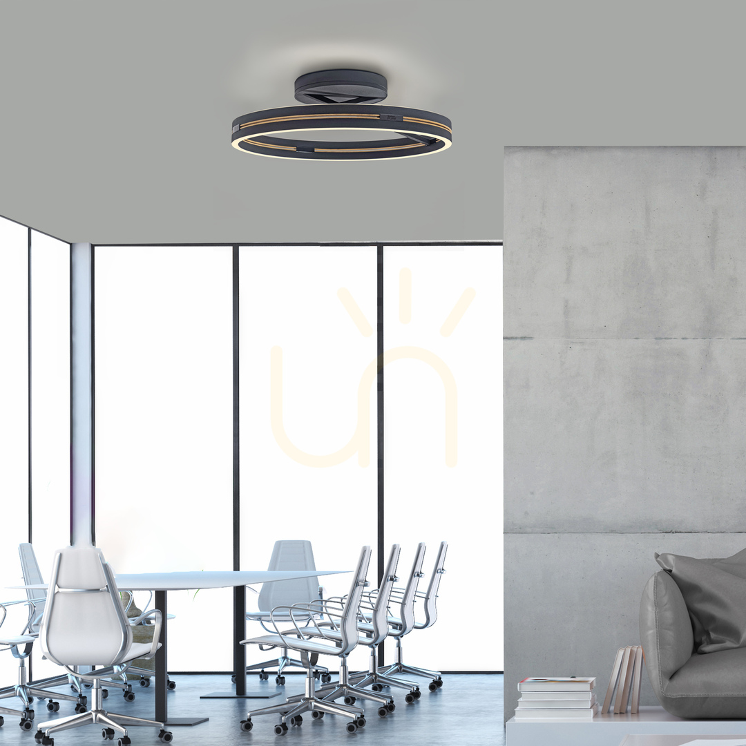 Kontrola PURE LOOP 6552-18 Černé stropní svítidlo, 2xLED PURE LOOP 6552-18 Černé stropní svítidlo, 2xLED