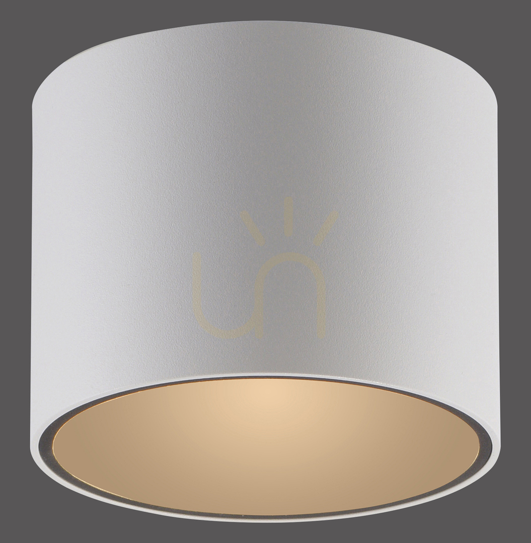 Kontrola PURE POINT 6761-16 Bílé stropní svítidlo, 1xLED PURE POINT 6761-16 Bílé stropní svítidlo, 1xLED