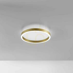 Stropní svítidlo AELA P/P FAEPO1, zlaté, Gea Luce small 0