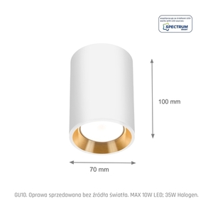 Chloe Mini Gu10 Ip20 ROUND BODY, WHITE GOLD, WHITE RING small 1