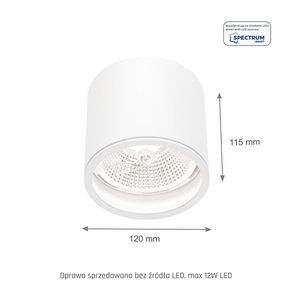 Chloe Ar111 Gu10 Ip65 kulaté bílé pevné small 3